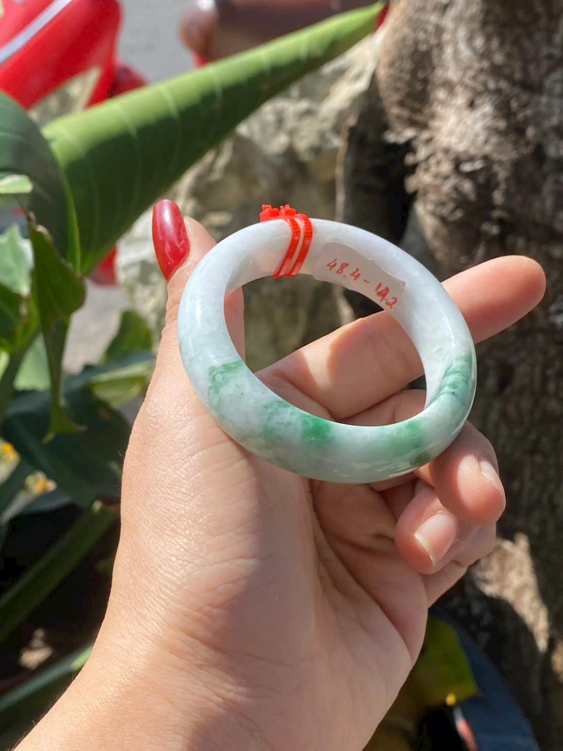 Vòng Bản Hẹ Lý Tử